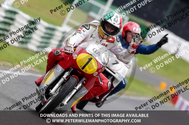 Vintage motorcycle club;eventdigitalimages;mallory park;mallory park trackday photographs;no limits trackdays;peter wileman photography;trackday digital images;trackday photos;vmcc festival 1000 bikes photographs